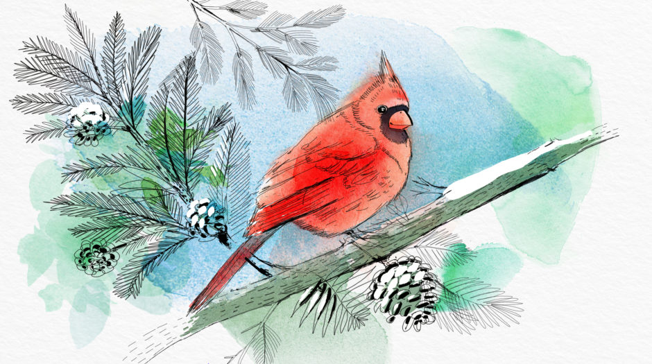 Watercolor bird illustration, nature, winter, Alessandra Scandella